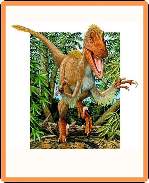 Dinosaurs and the Evolution of Feathers