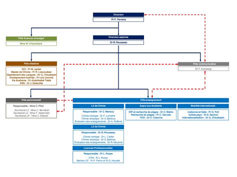 Organigramme du département Licence Sciences Technologies Santé