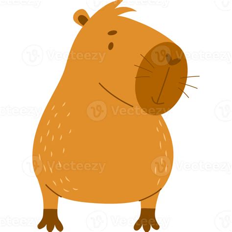 Capybara Animal Rodent 35387774 Png