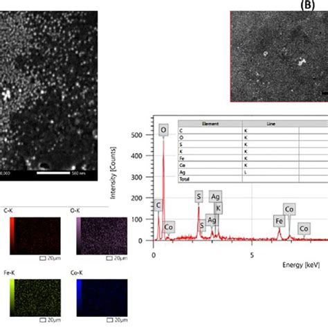 A Sem With A Scale Bar Of Nm B Edx Analysis And C Edx Map