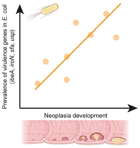 Frontiers Escherichia Coli From Biopsies Differ In Virulence Genes