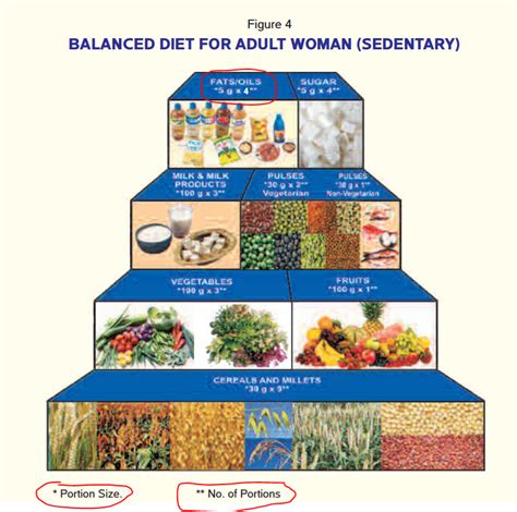 Spicetruck Indian Cuisine Dietary Guidelines For Indians