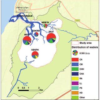 A & B. Geographical location of Merja Zerga lagoon in the North ...