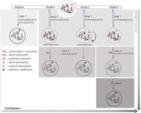 Disintegration Of Selectivity Attributes Through Chemical Steps