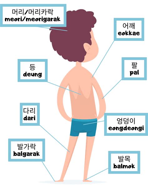 Learn Parts Of The Body In Korean