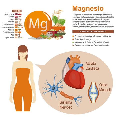 Cloruro Di Magnesio Benefici Dosi Effetti Collaterali