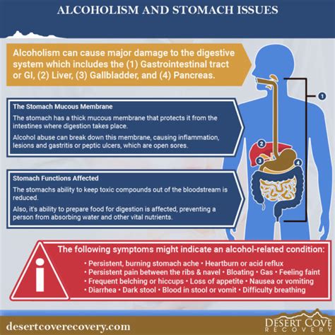 Alcoholism And Stomach Issues Desert Cove Recovery