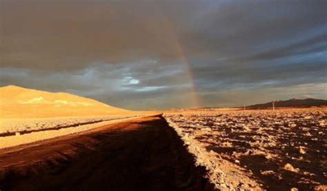 Lluvias Sin Precedentes Arrasan La Vida Microbiana En El Desierto De