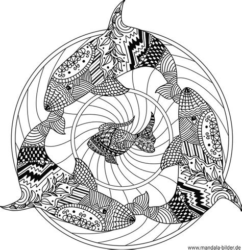 Hai Mandala Tiere F R Erwachsene In Zen Art