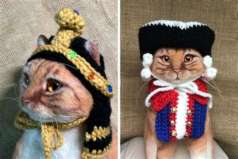 Cat Hats For Every Occasion: This Artist Crochets Funky Hats For Cats ...