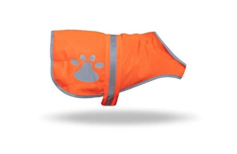 6 Best Dog Hunting Vest Brands of 2020 (And Your Buyer's Guide)