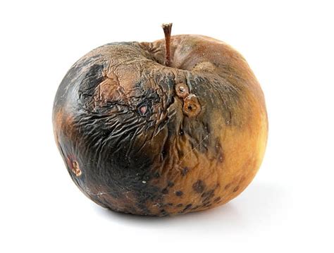 Rotten Apple Stock Photos Pictures And Royalty Free Images Istock