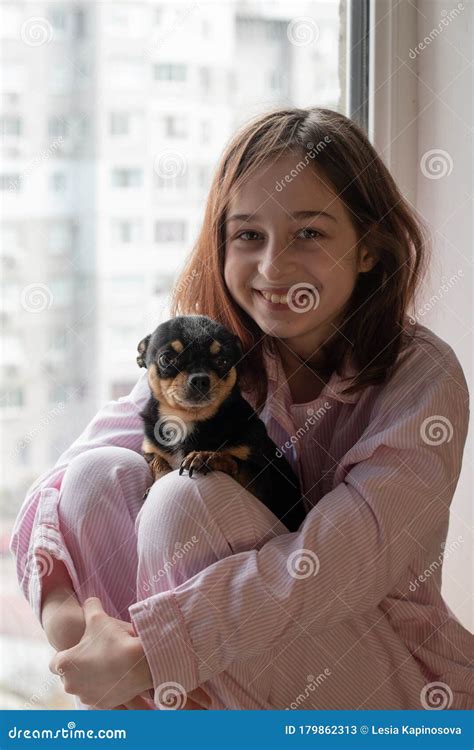 带吉娃娃的小女孩 抱吉娃娃的女孩 怀着宠物的女孩 黑棕白色吉娃娃 库存图片 图片 包括有 朋友 拥抱 179862313