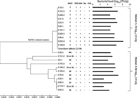 Whole Genome Phylogeny Showing Alignment To A Reference Sequence