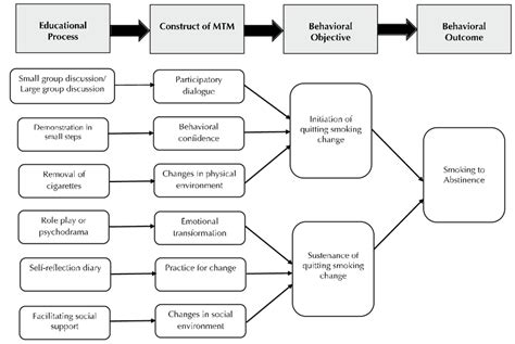 Diagrammatic Depiction Of How Multi Theory Model Mtm For Health