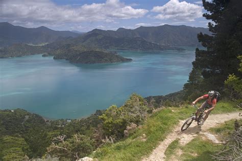 2 Day Freedom Bike Ride - Queen Charlotte Track - Marlborough Sounds ...