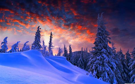 Widescreen Winter Wallpapers - Wallpaper Cave