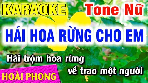 Hái Hoa Rừng Cho Em Karaoke Nhạc Sống Tone Nữ Mới 2022 Hoài Phong