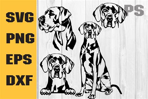 Great Dane Svg Great Dane Png Graphic By Ilukkystore · Creative Fabrica