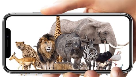 Interactive Ar Zoo Advin