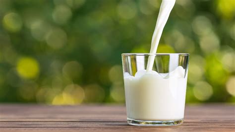 Health Benefits Of Milk What Is The Difference Between Hot And Cold