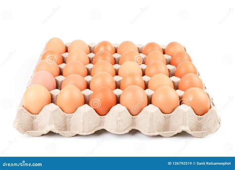 Raw Brown Chicken Eggs In Paper Container Tray Box Stock Image Image