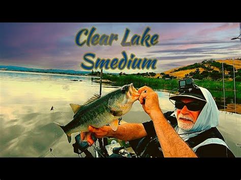 Bass Factory ClearLake Practice Day YouTube