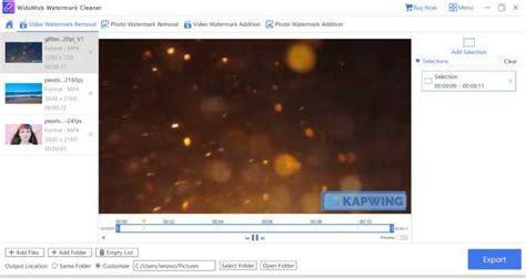 Kapwing Watermark Remover—remove Kapwing Watermark