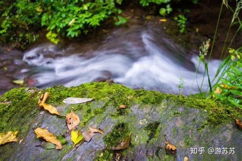 【河南洛阳旅游】秋到老君山，有哪些景色值得拍？老君山摄影攻略（附衣食住行指南） 知乎