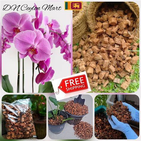 Coconut Husk Dry Chips Organic Ceylon Natural Orchid Anthurium Plant