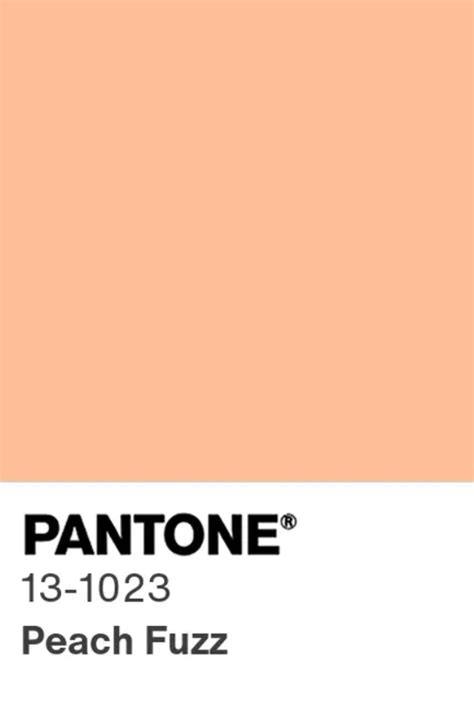 Peach Fuzz The Pantone Colour Of The Year24