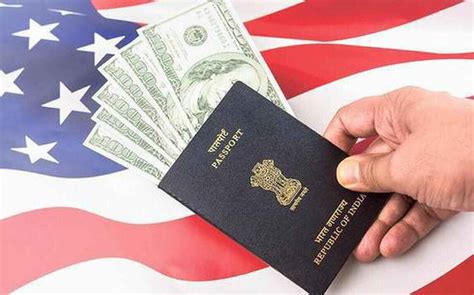 L Visa Meaning Types Eligibility Criteria Application Process