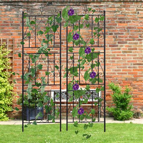 Decorative Iron Trellises Shelly Lighting