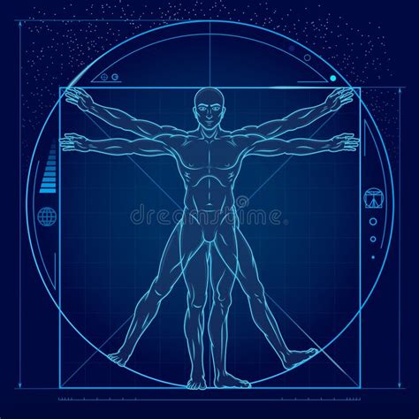 Vitruvian Man Drawing Vector Stock Illustrations Vitruvian Man