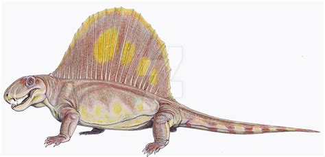 Dimetrodon Facts And Pictures Period Living Prehistoric Animals