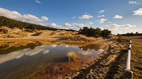 Oregon Dunes National Recreation Area - Winchester Bay photo 7