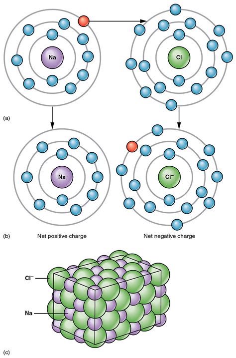 Difference Between Covalent And Ionic Bonds