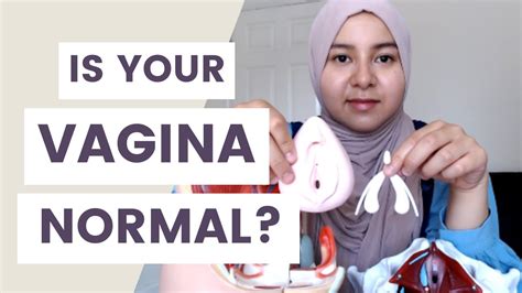 What Does A Vagina Look Like YouTube