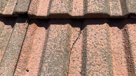 Replace Broken Roof Shingles - Design Talk