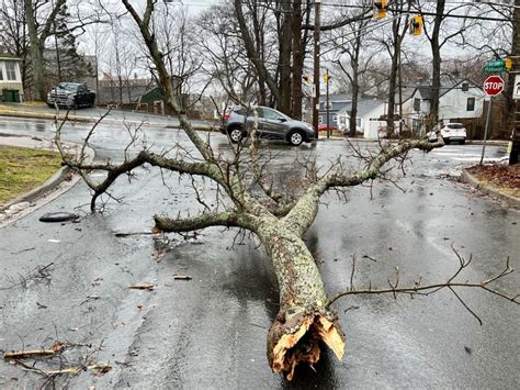 Thousands Left Without Power After Strong Winds Rain Blast Nova Scotia