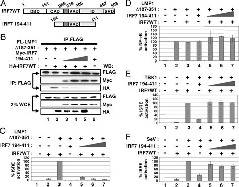 Irf7 Activation By Epsteinbarr Virus Latent Membrane Protein 1