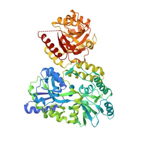 RCSB PDB 8SBU Crystal Structure Of MBP Fusion With HPPK From