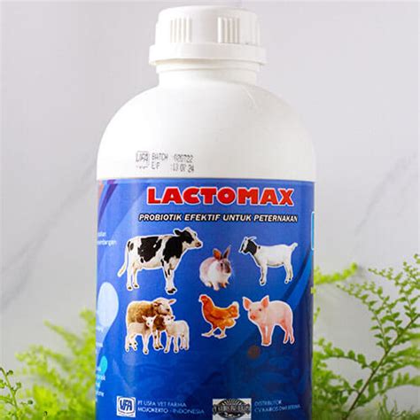 Lactomax Usfa Vet Farma