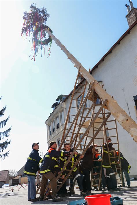 Maibaumaufstellen Freiwillige Feuerwehr Manhartsbrunn