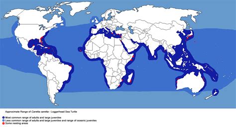 Loggerhead Sea Turtle Habitat Map