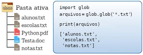 Python Biblioteca Padrão Phylos net