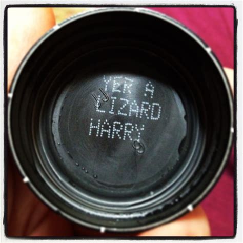 Yer A Lizard Harry Harry Potter Love Harry Harry Potter