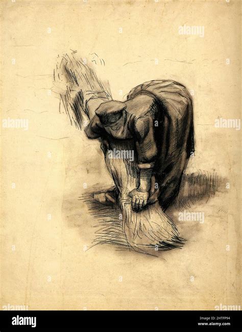 Vincent Van Gogh Peasant Woman Binding Sheaves 1885 Stock Photo Alamy