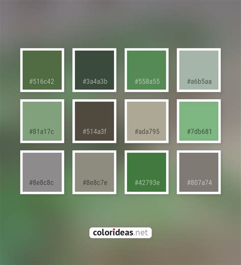 Napa | Color palette ideas