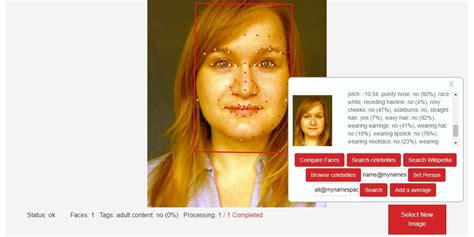 9 Fascinating Search Engines That Search For Faces